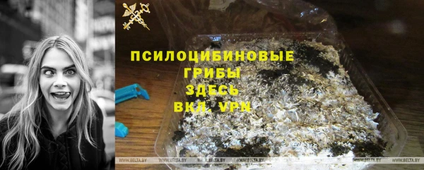 прущий лед Алексин