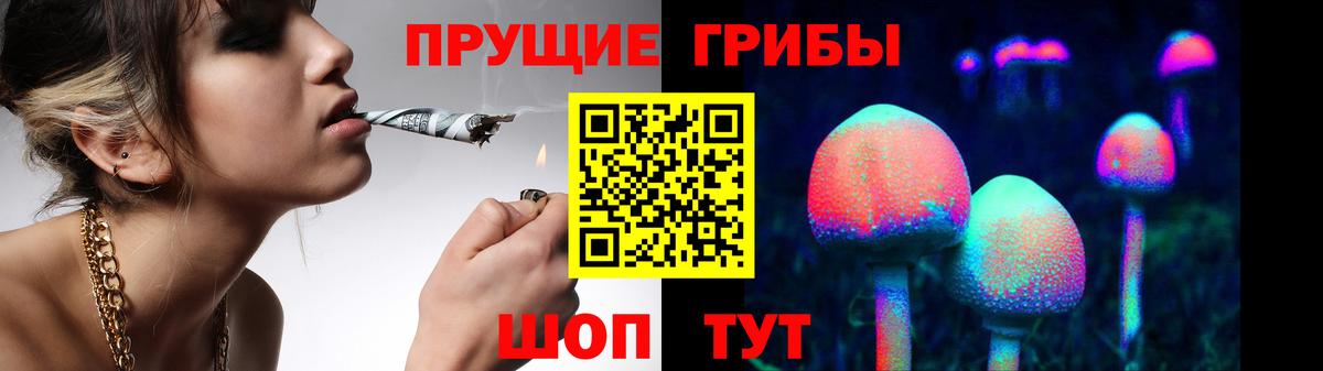 что такое   Вход с VPN  Ставрополь  Галлюциногенные грибы GOLDEN TEACHER 